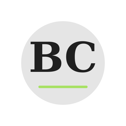 Brook Court Chimney Repair logo